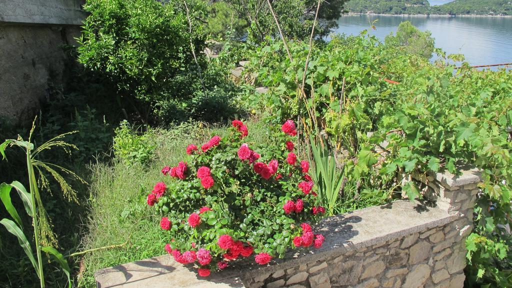Guest House Ruza Sobra Exterior photo
